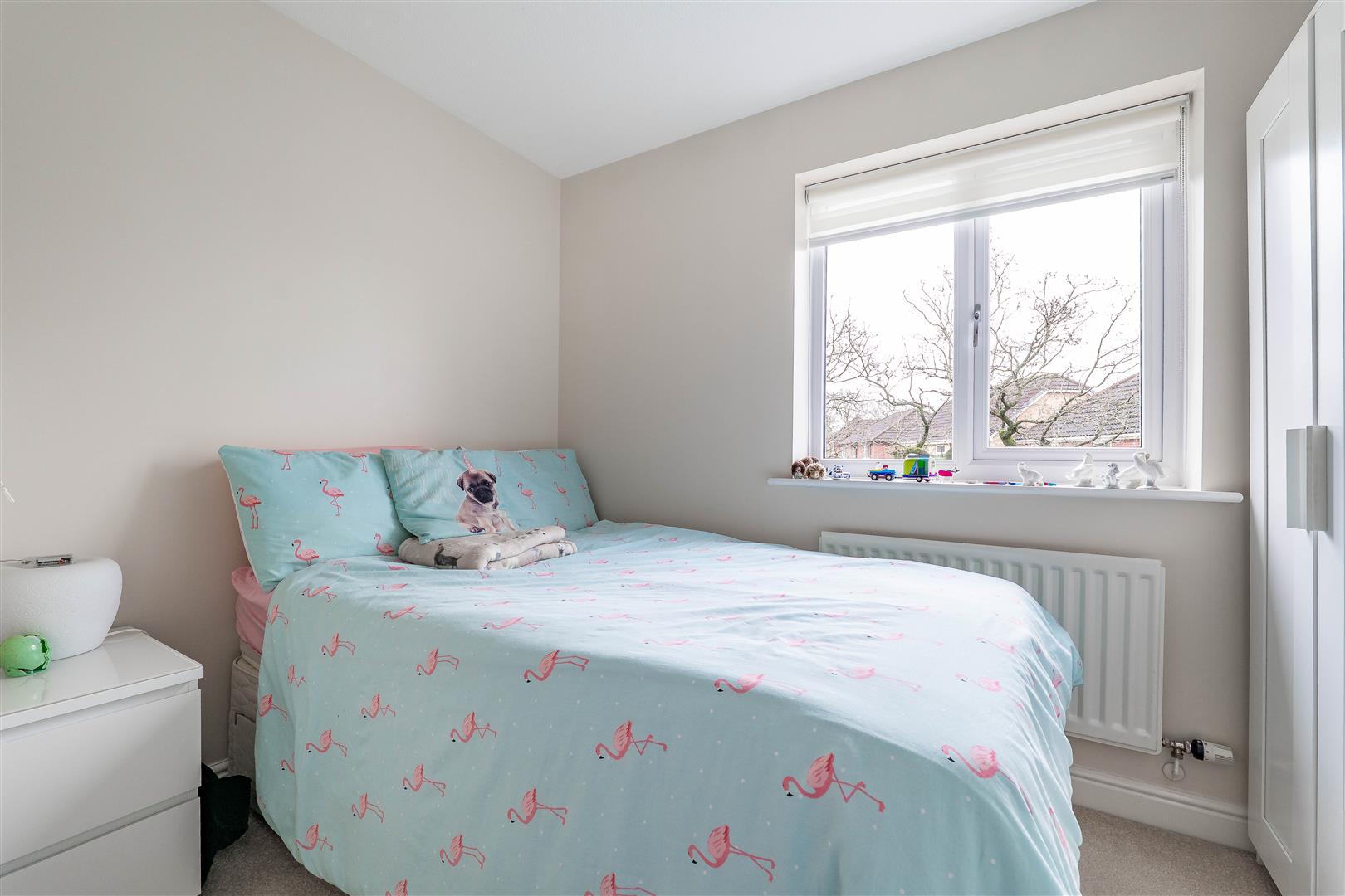 Windflower Drive, Leyland